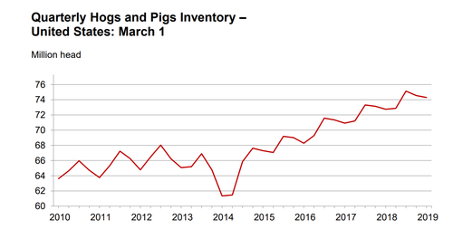 march 19 hogs and pigs.png
