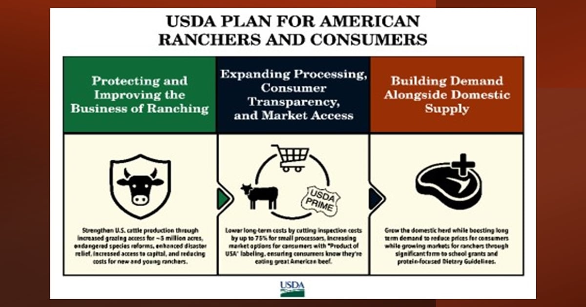 USDA makes plan to strengthen beef industry
