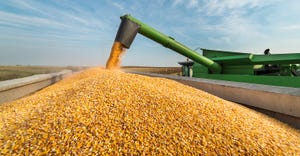 What you need to know about the 2017 corn crop