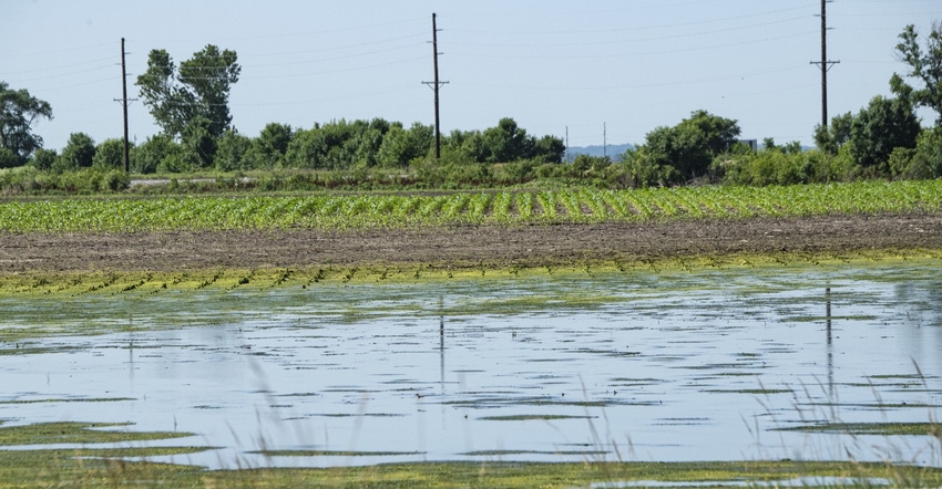 Flooded field.USDA_.jpg