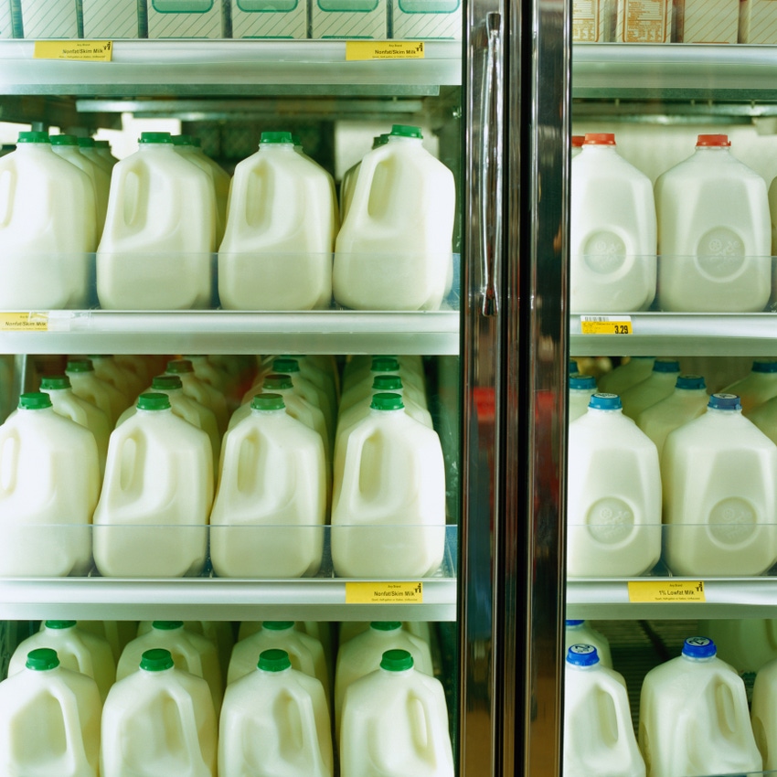 New study deems dairy 'excellent' source of protein for children