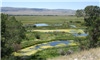 USDA announces wetland mitigation banks