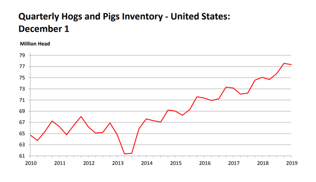 dec 2019 hogs and pigs.png