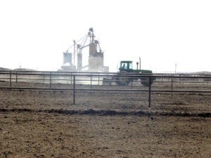 Feedyards advised to begin pen surface cleaning now due to dry weather