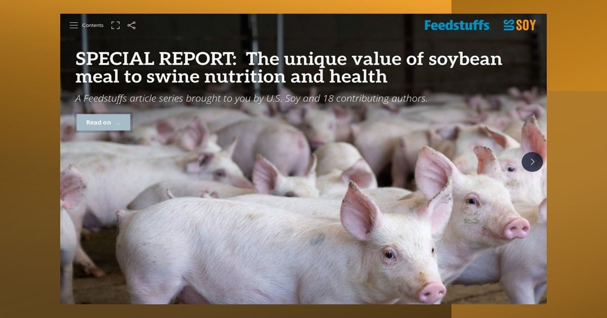Unique Value of Soybean Meal to Swine Nutrition and Health