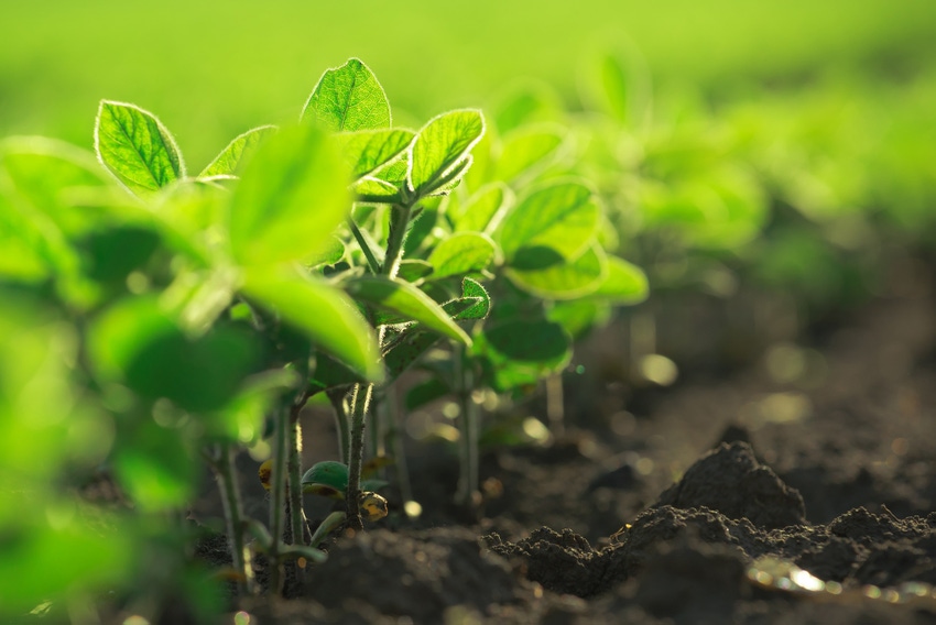 Farmers break new ground for Soy Innovation Center