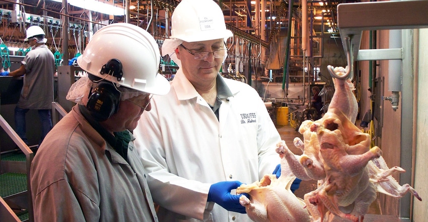 Injury data reveal higher rate in poultry sector