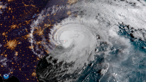 Hurricane Florence poultry losses surpass Matthew death toll