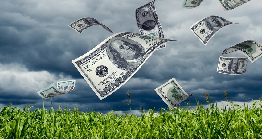 money blowing from corn fieldHorizontal_Kativ_iStock_Getty Images-172323492.jpg