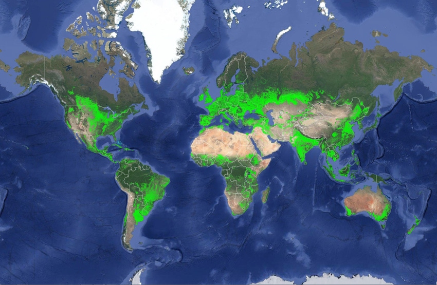 New high-resolution map shows croplands worldwide