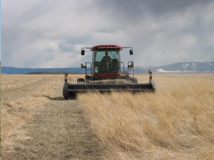 crp_biomass_harvest_help_conserve_resources_1_635919954754178501.jpg crp_biomass_harvest_help_conserve_resources_1_635919954754178501.jpg