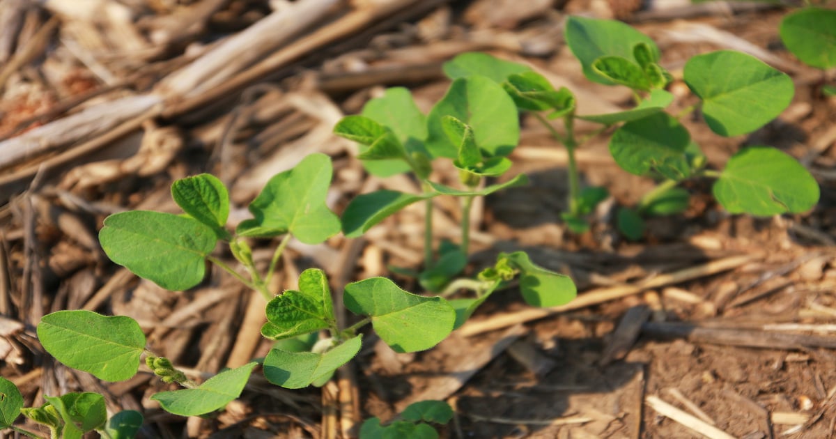 USDA announces new climate-smart grants