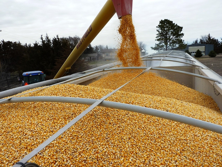 U.S. feed grains kick off marketing year with brisk exports