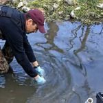 Identification process enhanced for bacterial pollution in watersheds