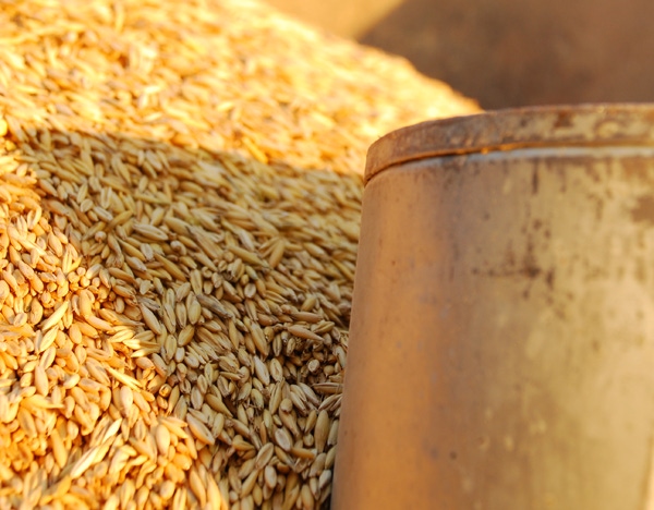 Survey reveals feed production decline