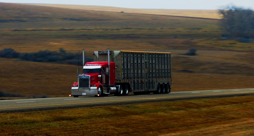 Bill introduced to offer livestock haulers relief