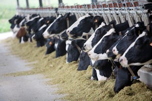 Dairy groups announce new agreement