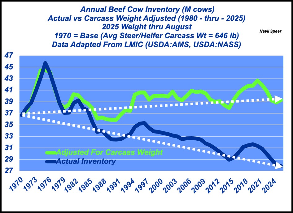 Beef industry emblematic of U.S. agricultural prowess