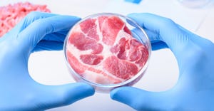 Lab meat petri dish Getty1077963602.jpg
