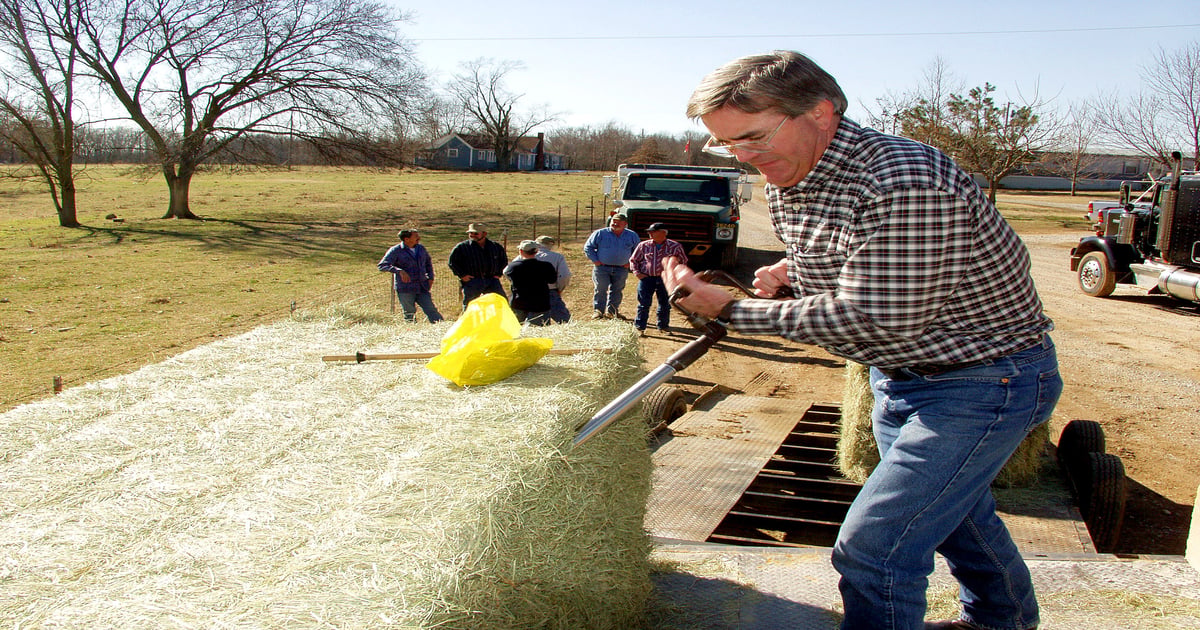 Fall forage samples showing lower protein