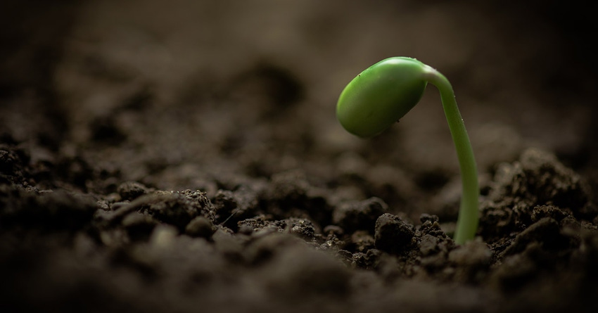 FoodShot Global launches investment platform for food innovation FoodShot Global launches investment platform for food innovation