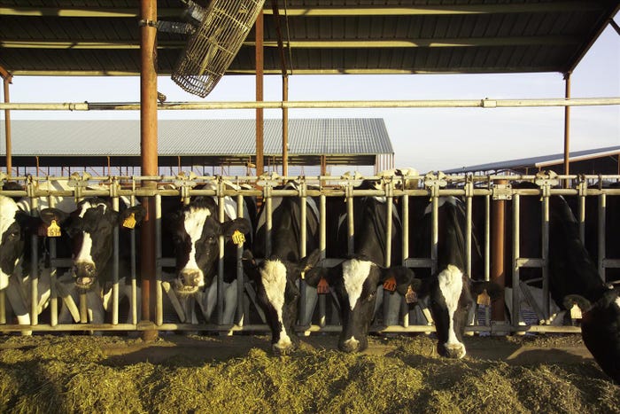 inoculant_selection_depends_specific_silage_challenges_1_635937177035204000.jpg inoculant_selection_depends_specific_silage_challenges_1_635937177035204000.jpg