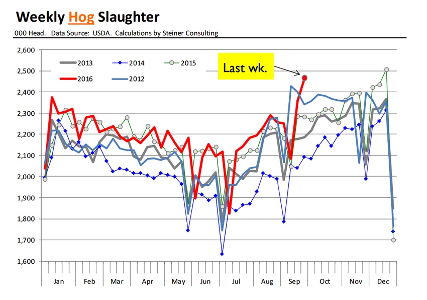 LIVESTOCK MARKETS: Hog slaughter numbers far bigger than expected