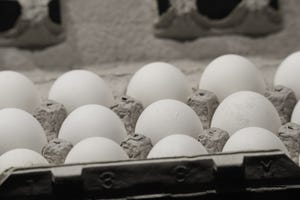eggs egg carton white eggs FDS.jpg