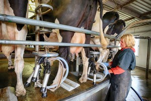 dairy farmer milking cows_JESP62_iStock_Thinkstock-472866698.jpg
