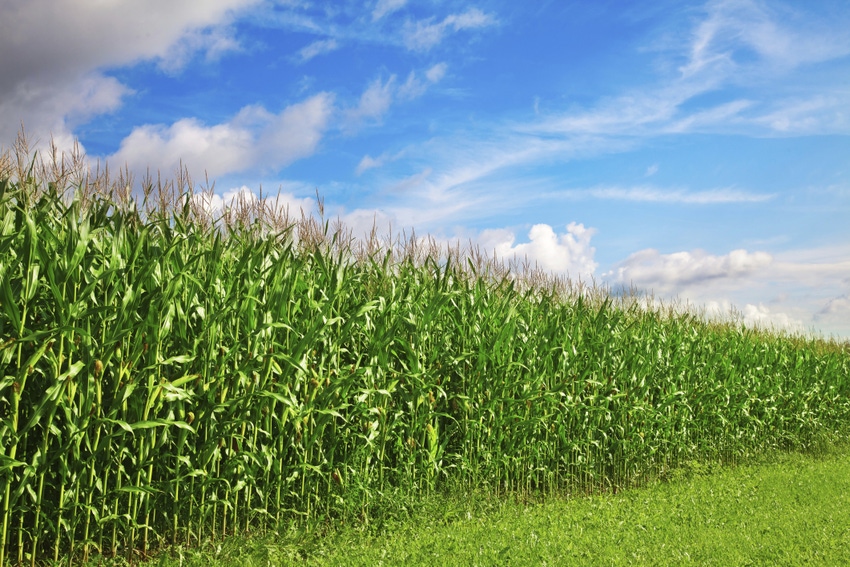 CROP PROGRESS: Corn harvest off to slow start