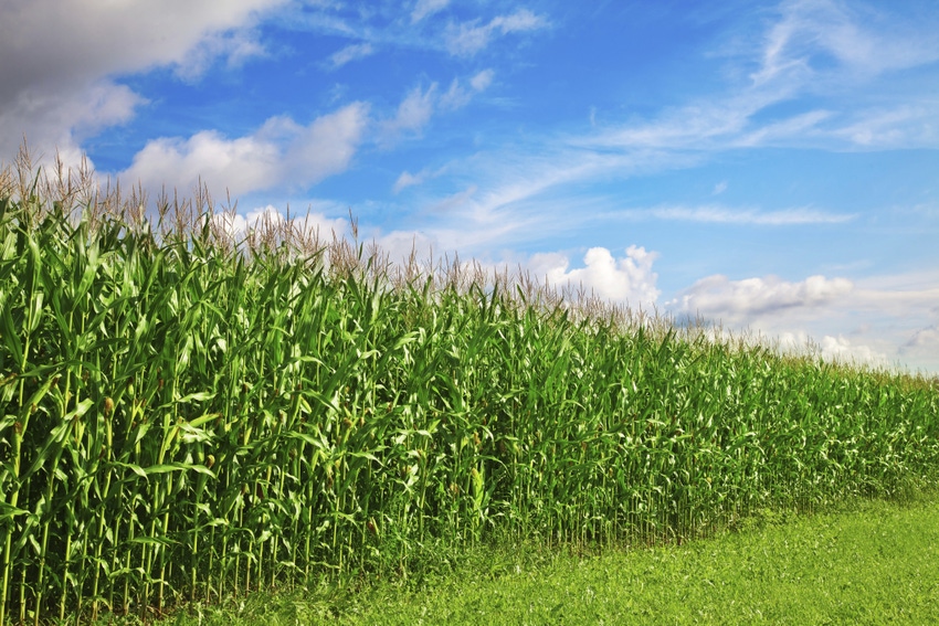 Two types of models integrated to predict climate effects on crop yield Two types of models integrated to predict climate effects on crop yield