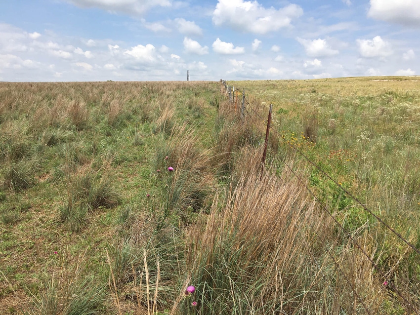 Noble Research Institute launches land stewardship program