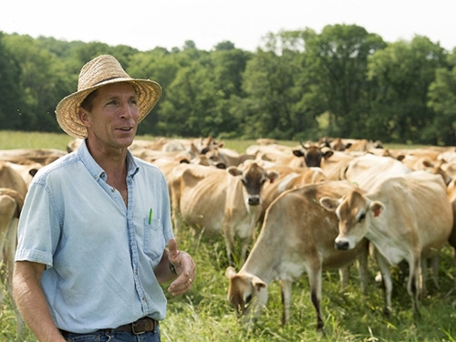 Organic Valley adds grass-fed dairies in mid-Atlantic