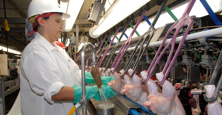 Poultry industry’s worker safety record stable