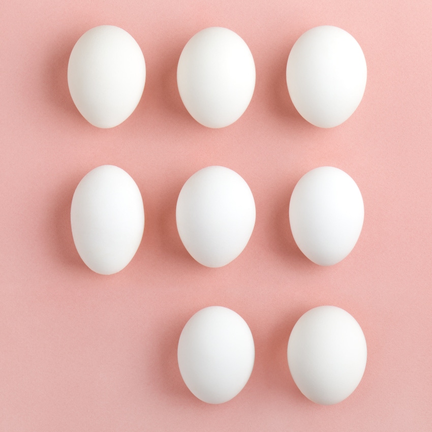 American Egg Board announces new sustainability, innovation directors