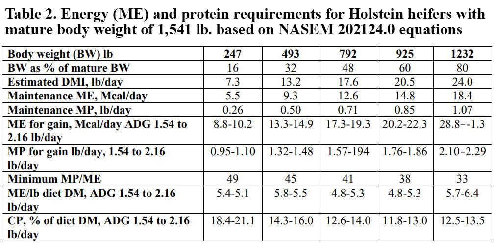 Calf starter and heifer protein requirements explored