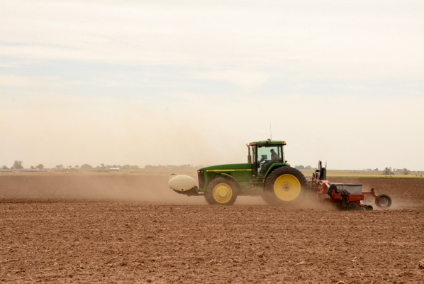 Slow corn planting could require demand rationing