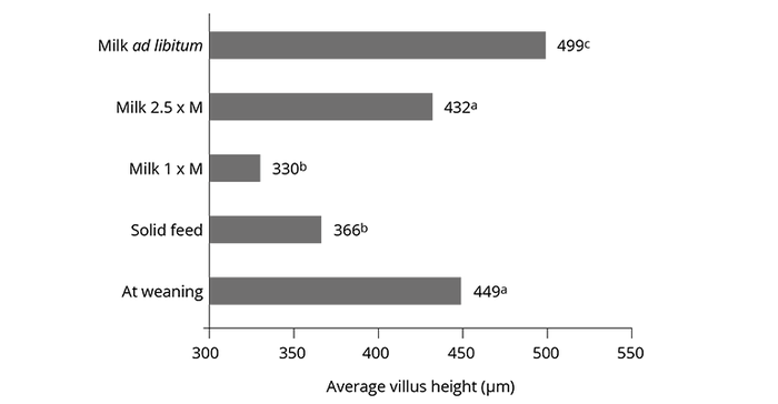 Graph-1.-Villus-height-following-different-levels-of-feed-intake-(M-=-maintenance)-post-weaning-.png
