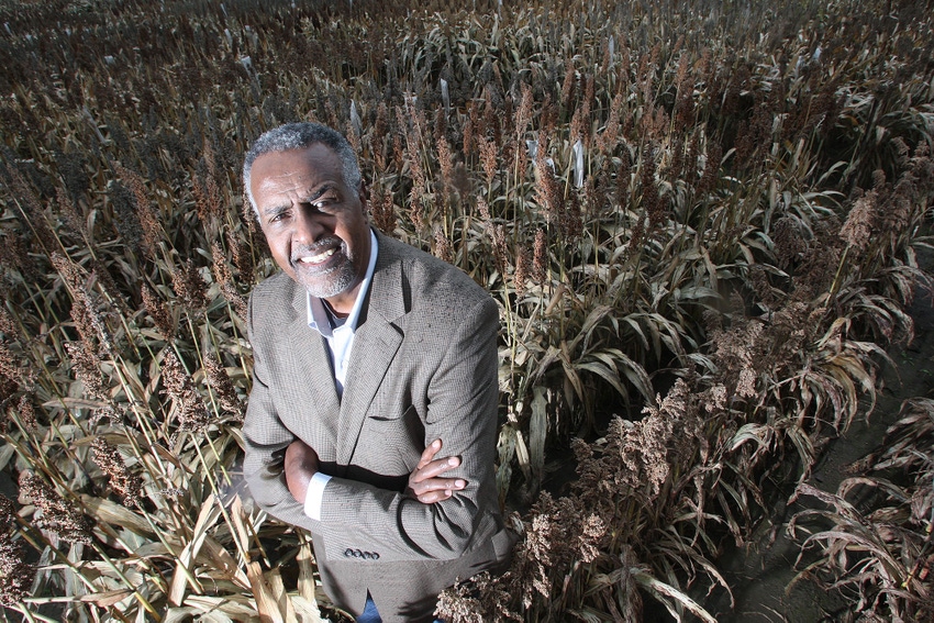 Purdue poised to improve sorghum with $5m grant