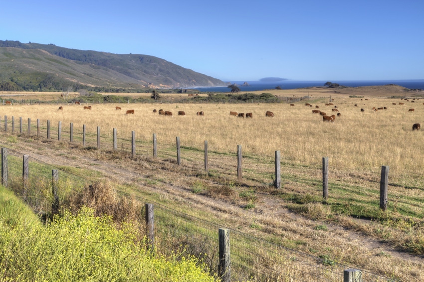 BLM seeks comments on new grazing regulations