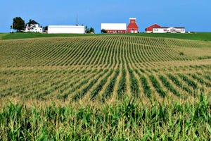 Farm Credit reports further softening of land values