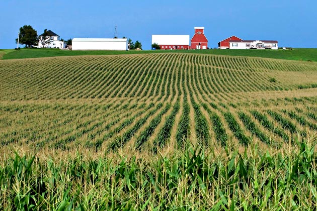 Agricultural producer sentiment falls from January peak