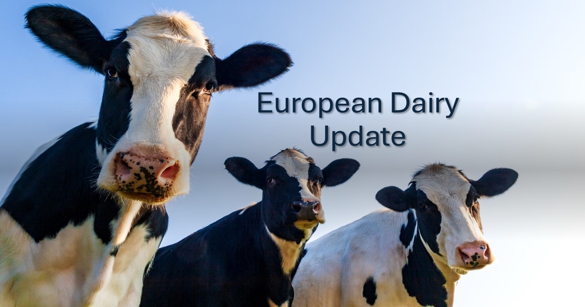 European Dairy Update - November 2024