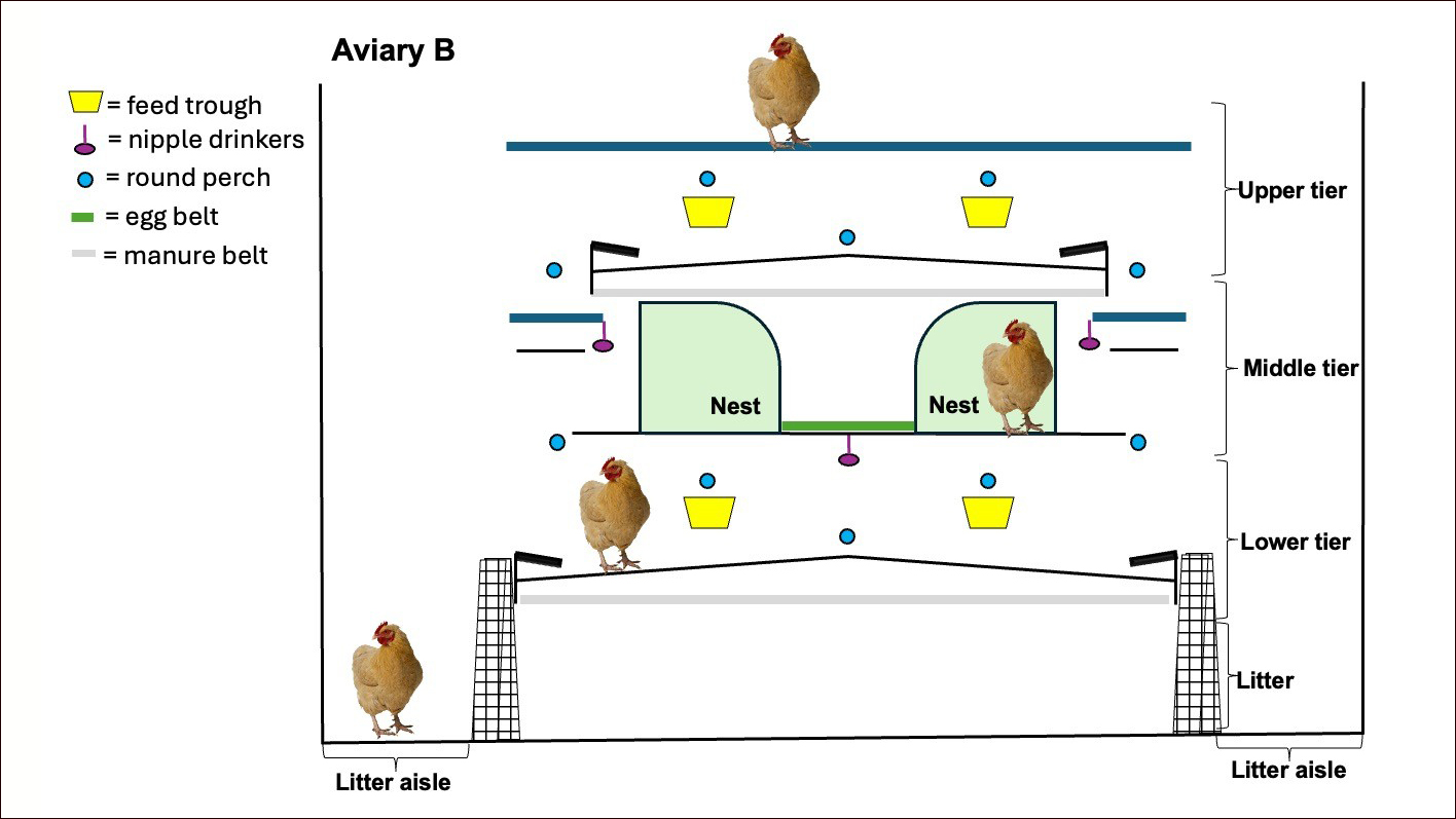 Economic impact of cage-free housing design
