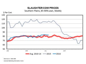 Cattle industry returns to normal culling rate