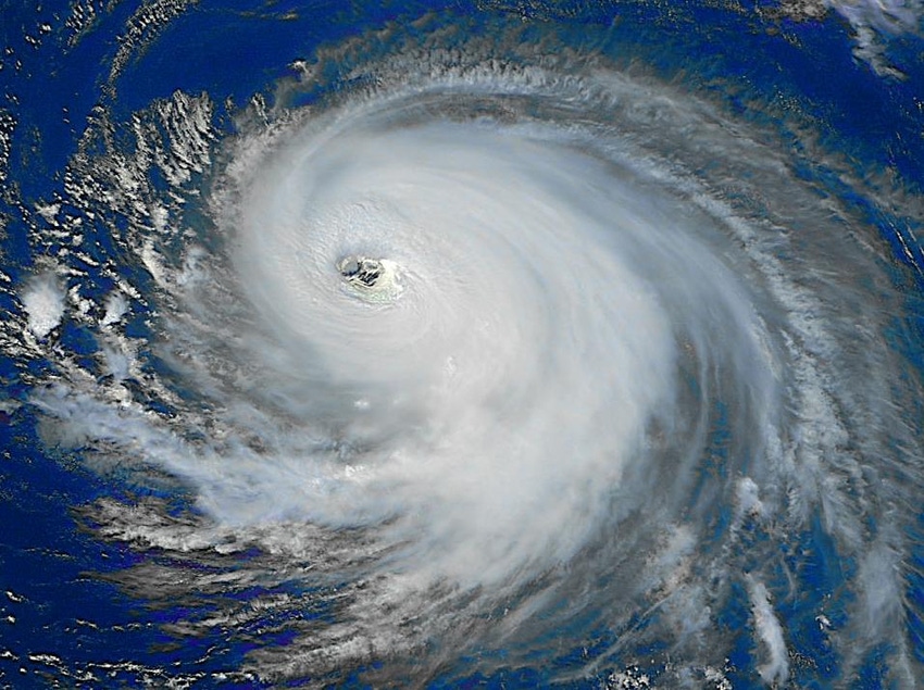 Hurricane Harvey ag losses estimated at more than $200m