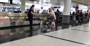 Customs and Border Protection agent and a beagle check luggage at Chicago's O'Hare airport