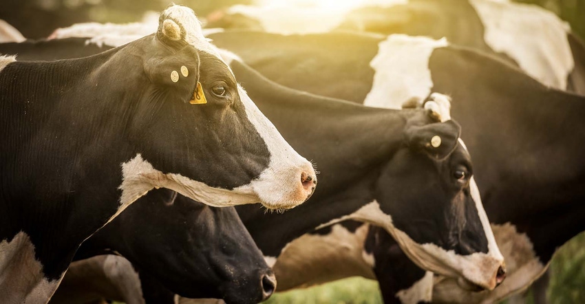 dairy industry sustainability measures