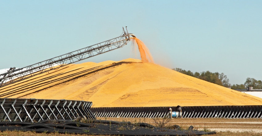 Don’t let it go to waste: 10 tips for long-term grain storage