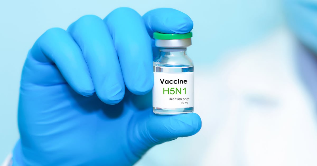 Nasal vaccine shows promise against bird flu infection